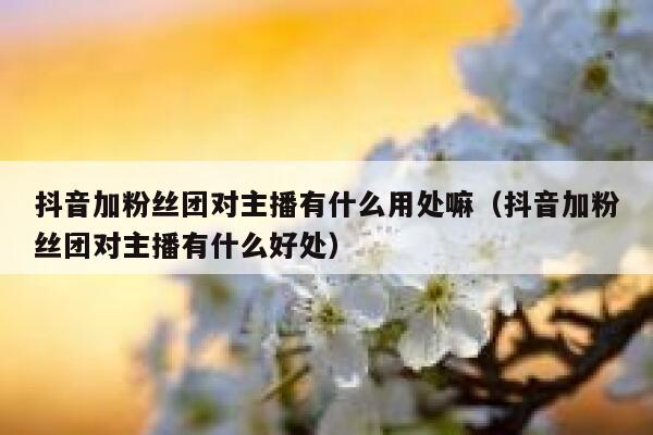 抖音加粉丝团对主播有什么用处嘛（抖音加粉丝团对主播有什么好处） 第1张
