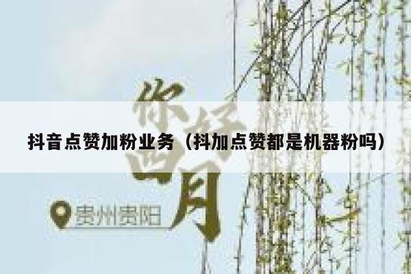 抖音点赞加粉业务（抖加点赞都是机器粉吗） 第1张