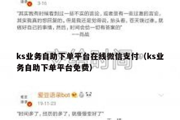 ks业务自助下单平台在线微信支付（ks业务自助下单平台免费） 第1张