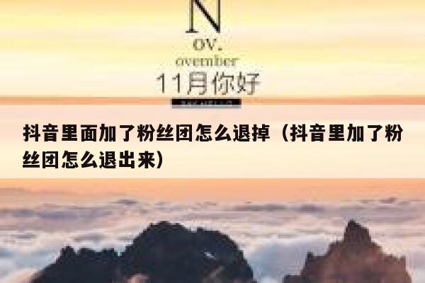 抖音里面加了粉丝团怎么退掉（抖音里加了粉丝团怎么退出来） 第1张