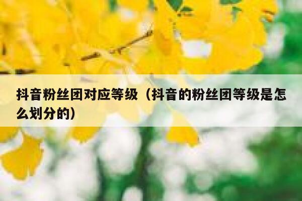 抖音粉丝团对应等级（抖音的粉丝团等级是怎么划分的） 第1张