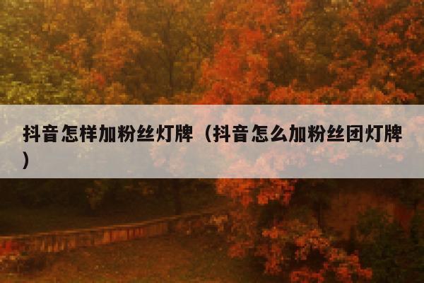 抖音怎样加粉丝灯牌（抖音怎么加粉丝团灯牌） 第1张