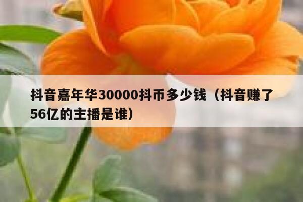 抖音嘉年华30000抖币多少钱（抖音赚了56亿的主播是谁） 第1张