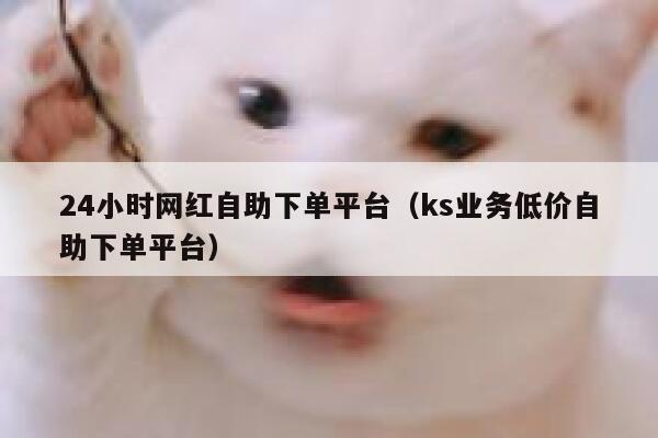 24小时网红自助下单平台（ks业务低价自助下单平台） 第1张