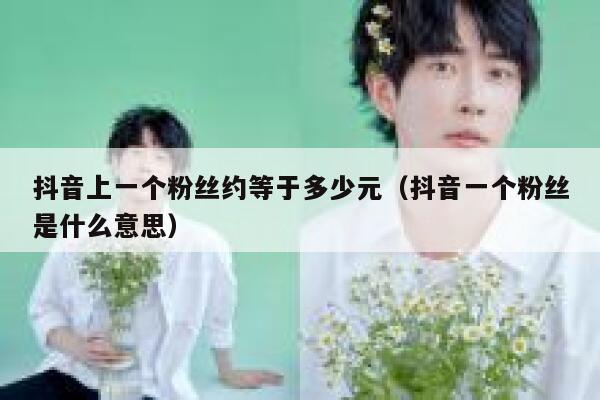 抖音上一个粉丝约等于多少元（抖音一个粉丝是什么意思） 第1张