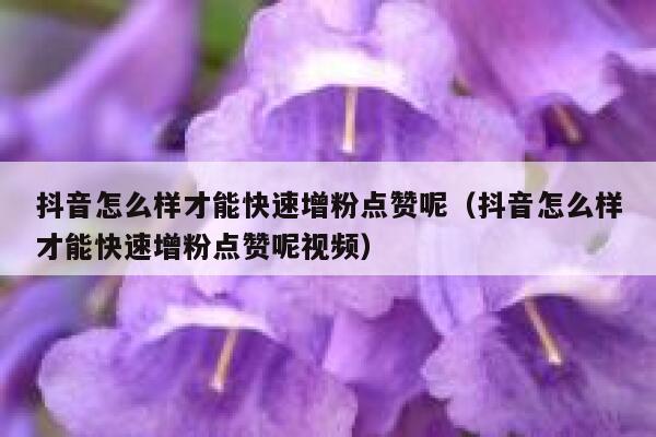 抖音怎么样才能快速增粉点赞呢（抖音怎么样才能快速增粉点赞呢视频） 第1张