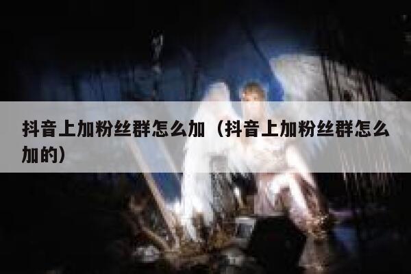 抖音上加粉丝群怎么加（抖音上加粉丝群怎么加的） 第1张