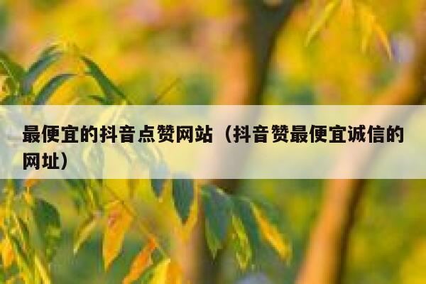 最便宜的抖音点赞网站（抖音赞最便宜诚信的网址） 第1张