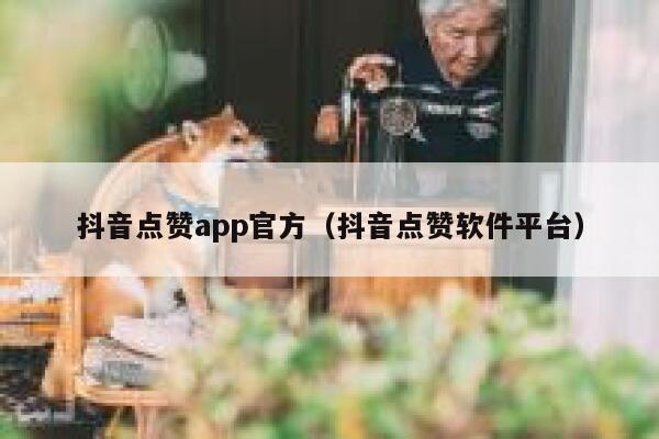 抖音点赞app官方（抖音点赞软件平台） 第1张