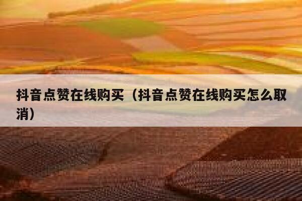 抖音点赞在线购买（抖音点赞在线购买怎么取消） 第1张