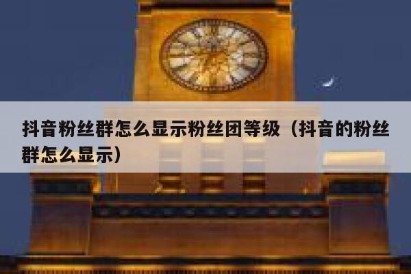 抖音粉丝群怎么显示粉丝团等级（抖音的粉丝群怎么显示） 第1张