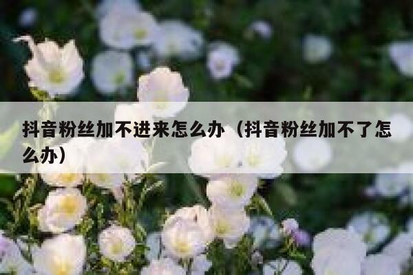 抖音粉丝加不进来怎么办（抖音粉丝加不了怎么办） 第1张