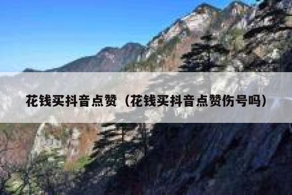 花钱买抖音点赞（花钱买抖音点赞伤号吗） 第1张