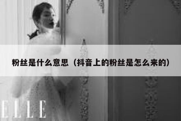 粉丝是什么意思（抖音上的粉丝是怎么来的） 第1张