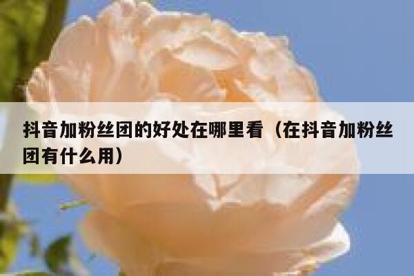 抖音加粉丝团的好处在哪里看（在抖音加粉丝团有什么用） 第1张