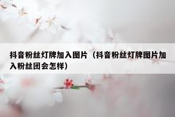 抖音粉丝灯牌加入图片（抖音粉丝灯牌图片加入粉丝团会怎样） 第1张