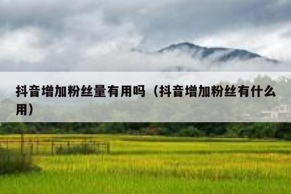 抖音增加粉丝量有用吗（抖音增加粉丝有什么用） 第1张