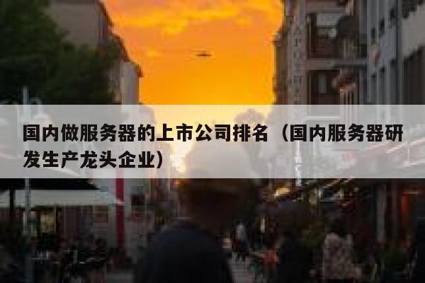 国内做服务器的上市公司排名（国内服务器研发生产龙头企业） 第1张