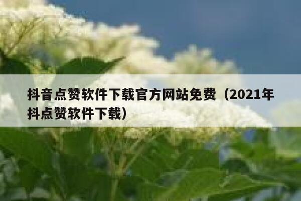 抖音点赞软件下载官方网站免费（2021年抖点赞软件下载） 第1张