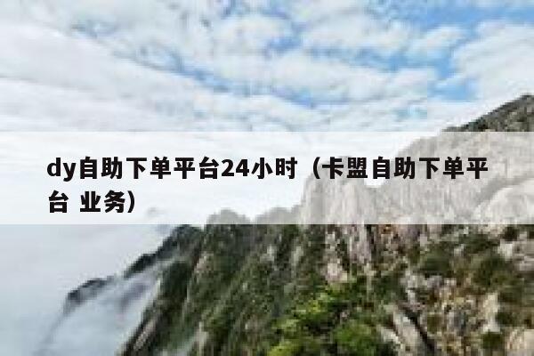 dy自助下单平台24小时（卡盟自助下单平台 业务） 第1张
