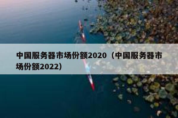中国服务器市场份额2020（中国服务器市场份额2022） 第1张