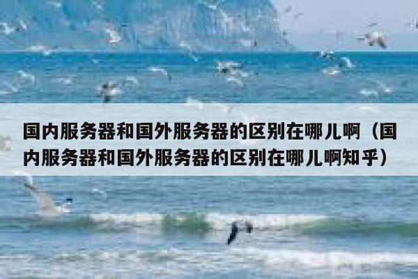 国内服务器和国外服务器的区别在哪儿啊（国内服务器和国外服务器的区别在哪儿啊知乎） 第1张