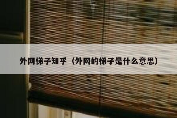外网梯子知乎（外网的梯子是什么意思） 第1张