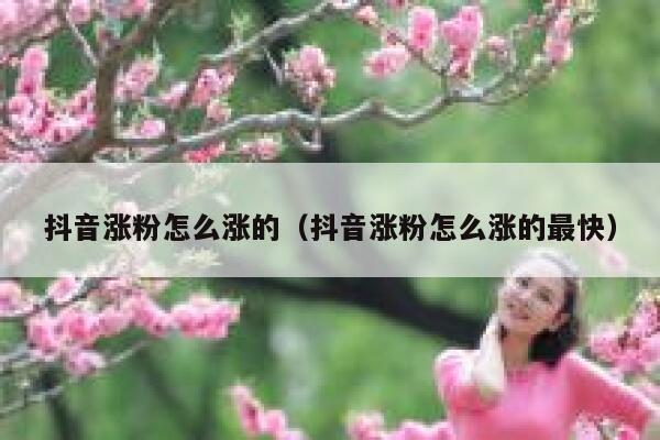 抖音涨粉怎么涨的（抖音涨粉怎么涨的最快） 第1张