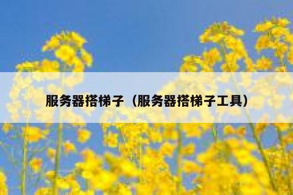 服务器搭梯子（服务器搭梯子工具） 第1张