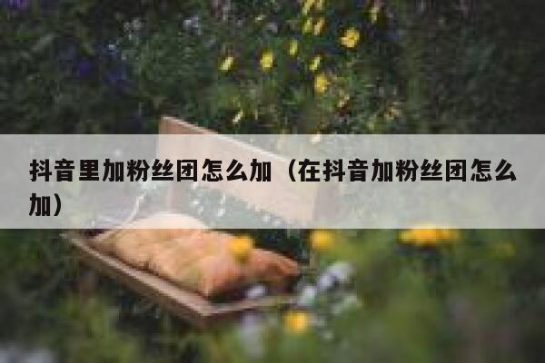 抖音里加粉丝团怎么加（在抖音加粉丝团怎么加） 第1张