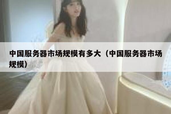 中国服务器市场规模有多大（中国服务器市场规模） 第1张