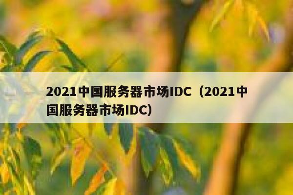 2021中国服务器市场IDC（2021中国服务器市场IDC） 第1张