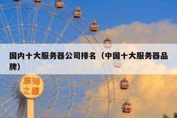 国内十大服务器公司排名（中国十大服务器品牌） 第1张