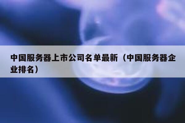 中国服务器上市公司名单最新（中国服务器企业排名） 第1张