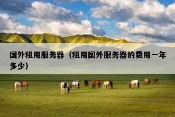 国外租用服务器（租用国外服务器的费用一年多少） 第1张