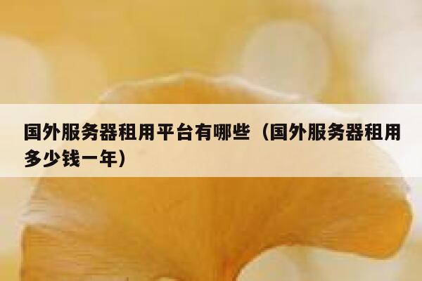 国外服务器租用平台有哪些（国外服务器租用多少钱一年） 第1张