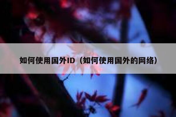 如何使用国外ID（如何使用国外的网络） 第1张