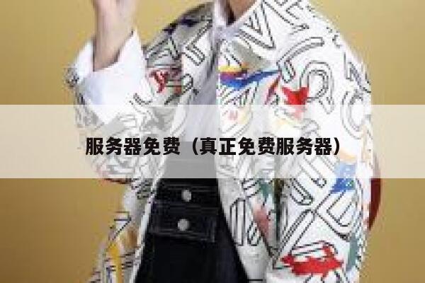 服务器免费（真正免费服务器） 第1张