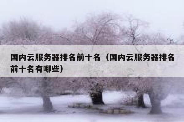 国内云服务器排名前十名（国内云服务器排名前十名有哪些） 第1张