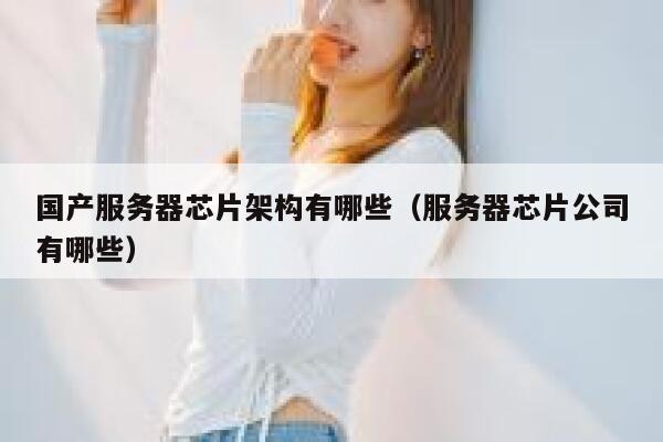 国产服务器芯片架构有哪些（服务器芯片公司有哪些） 第1张