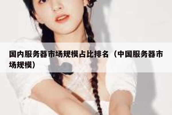国内服务器市场规模占比排名（中国服务器市场规模） 第1张