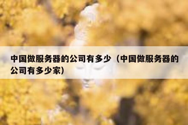中国做服务器的公司有多少（中国做服务器的公司有多少家） 第1张