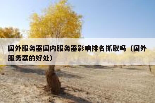 国外服务器国内服务器影响排名抓取吗（国外服务器的好处） 第1张