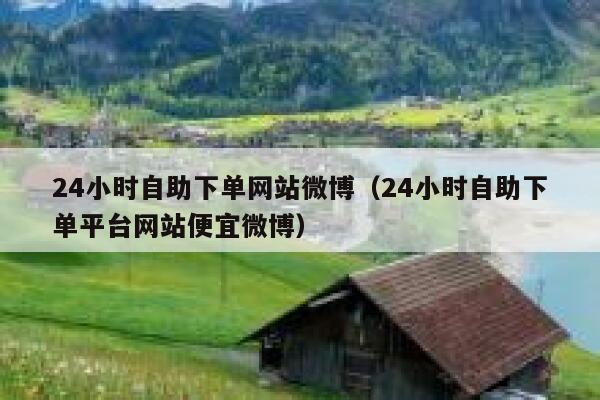24小时自助下单网站微博（24小时自助下单平台网站便宜微博） 第1张