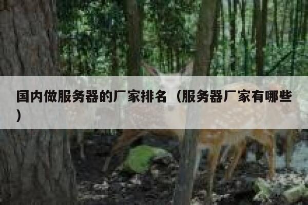 国内做服务器的厂家排名（服务器厂家有哪些） 第1张