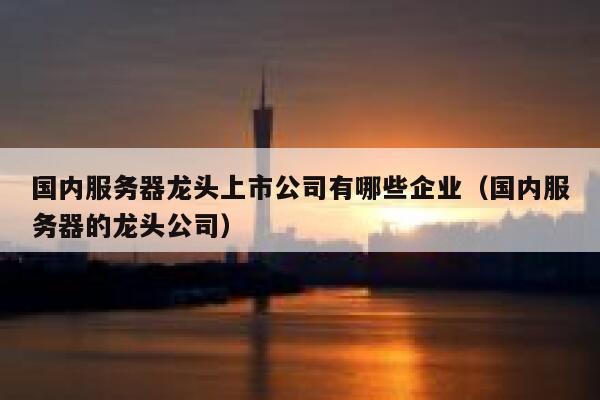 国内服务器龙头上市公司有哪些企业（国内服务器的龙头公司） 第1张