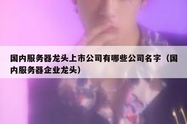 国内服务器龙头上市公司有哪些公司名字（国内服务器企业龙头） 第1张