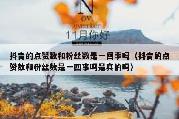 抖音的点赞数和粉丝数是一回事吗（抖音的点赞数和粉丝数是一回事吗是真的吗） 第1张