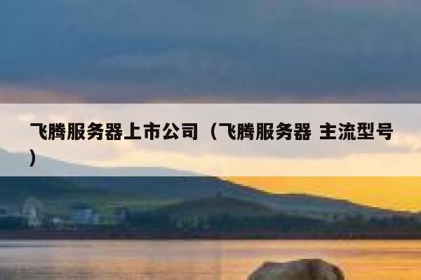 飞腾服务器上市公司（飞腾服务器 主流型号） 第1张