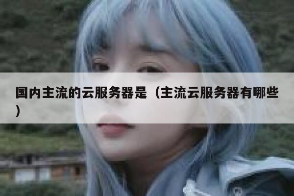 国内主流的云服务器是（主流云服务器有哪些） 第1张